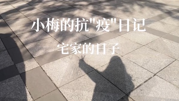 31.jpg 31.jpg